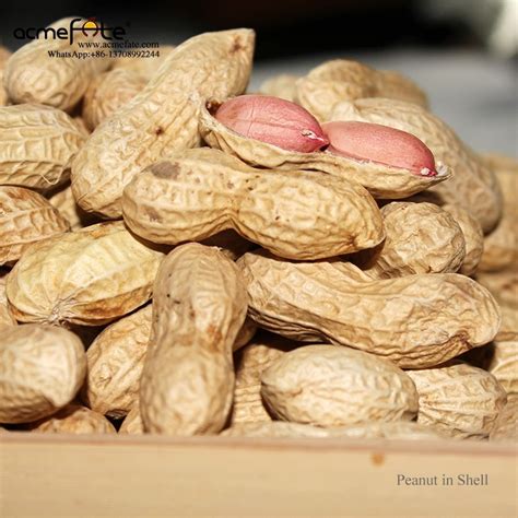 peanut  shell nuts kernels acme fate international