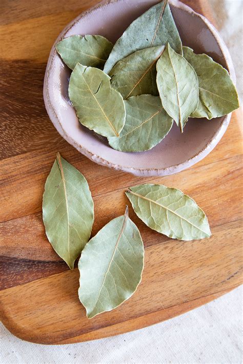 Guide to bay leaves – Artofit