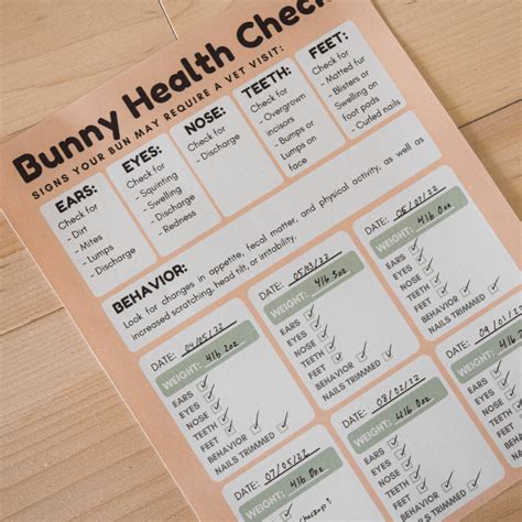 Rabbit Care Printable With Planner New Bunny Owner Care Tips - Etsy