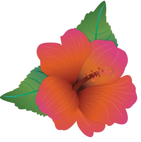 Polynesian flower 36648237 Vector Art at Vecteezy