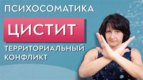 Цистит психосоматика. Территориальный конфликт. - YouTube