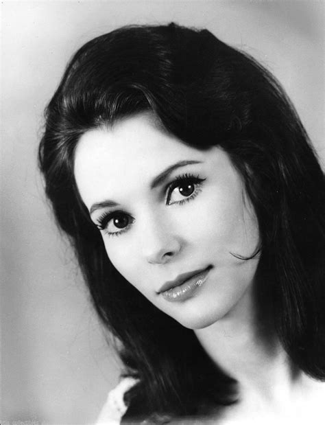 Classic Actresses, Hot Actresses, Beautiful Actresses, Marianna Hill