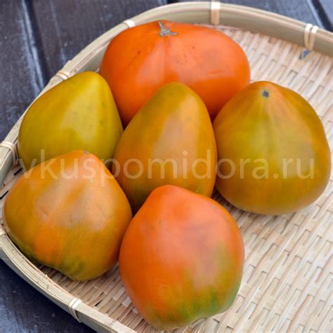 Купить семена томата сорт Суровая дыня немцев Поволжья (Severe Melon)