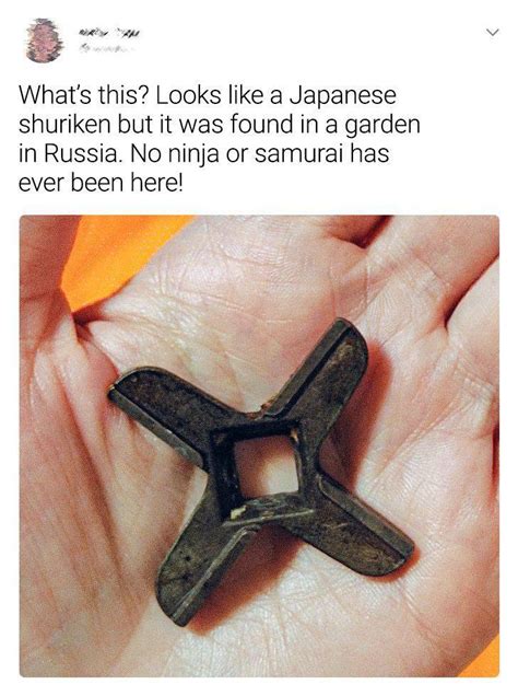 What Are Those Things? (40 PICS) - Izismile.com