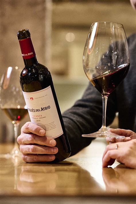 Explorando el vino de Oporto: tipos, maridajes y curiosidades • Bodegas ...