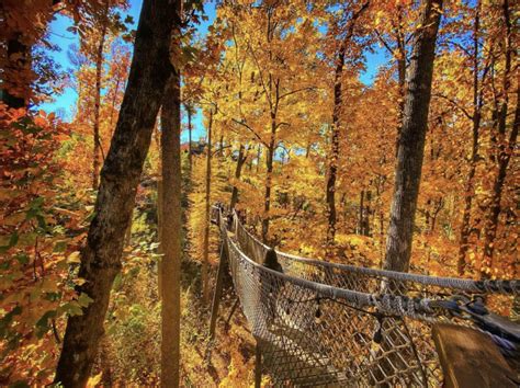 17 Fantastic Smoky Mountain Fall Festivals & Events [2025]