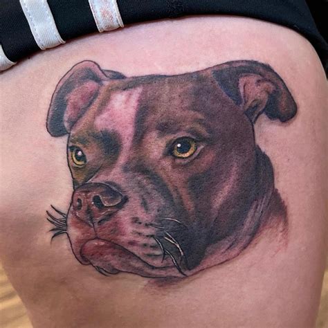 Pitbull Tattoo, pitbull tattoo ideas, pitbull tattoo stencil, pitbull ...