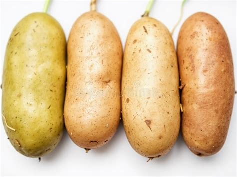 Exploring the Diverse World of Potatoes: A Guide to Global Varieties - Hunter Games Magazine