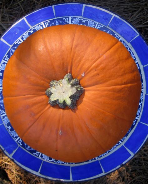 Blue Kale Road: A Stuffed Pumpkin for the Unprocessed October Challenge