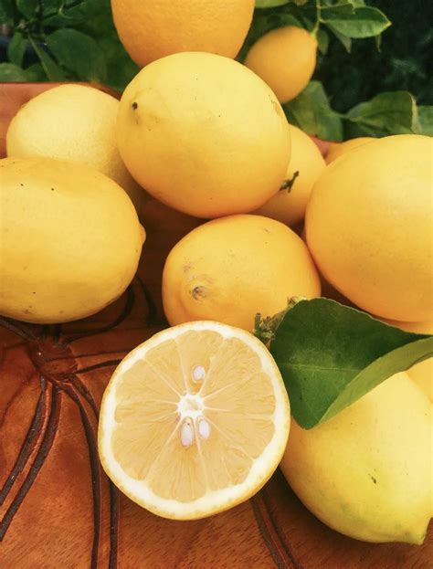 Amazon.com: Kejora Fresh MEYER LEMONS - 4 lbs : Grocery & Gourmet Food