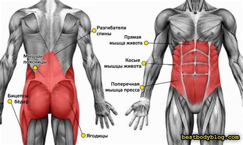 Тренировка Кора | 10 Упражнений Со Своим Весом | bestbodyblog.com