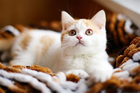 Я хочу вас ещё раз поздравить с весной и пожелать хорошего настроения ...