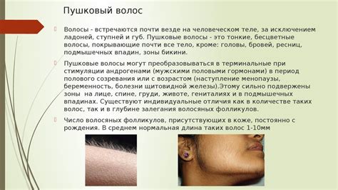 Теоретический курс по сахарной эпиляции - online presentation