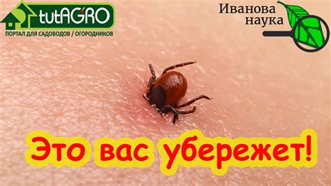 ЭТА ТАБЛЕТКА СПАСЕТ ВАМ ЖИЗНЬ! Она должна быть У КАЖДОГО с собой с ...