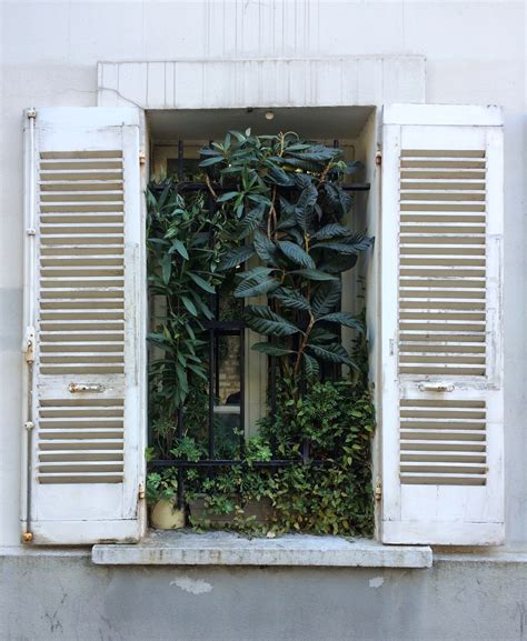 france – 168 – cocogreen