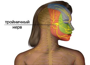 Воспаление тройничного нерва на лице: симптомы, лечение, можно ли ...