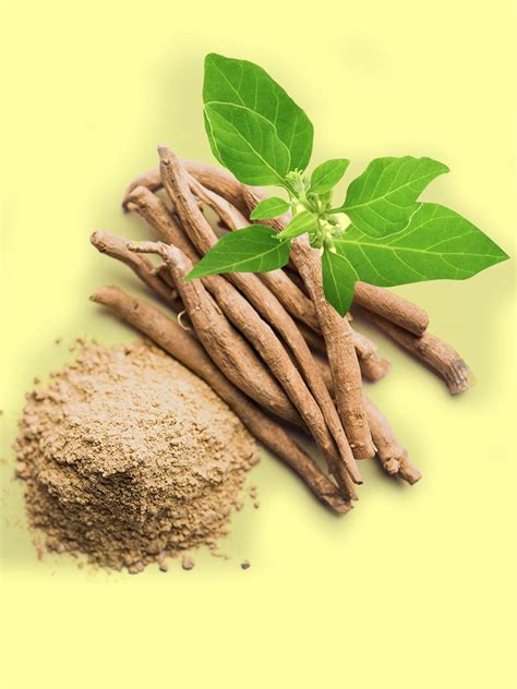 6 Powerful Health Benefits Of Ashwagandha