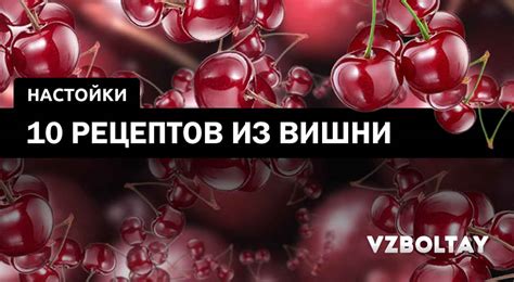 Вишневая настойка: 10 рецептов в домашних условиях
