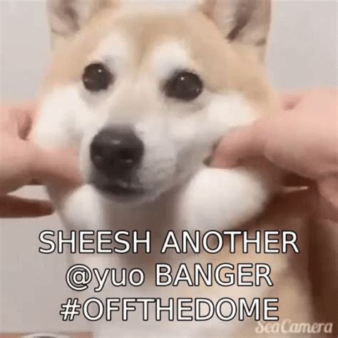 Yuo Yuobanger GIF - Yuo Yuobanger - Discover & Share GIFs