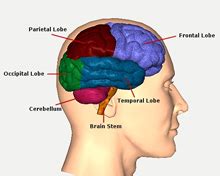 Dealing with amnesia, amnesia Treatment, amnesia Relief