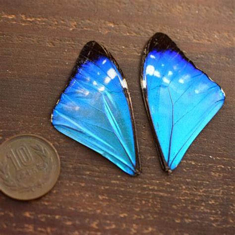 diy material  creema