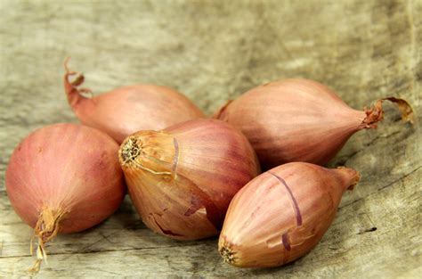 Die Zwiebel: Vielseitig, gesund und beliebt