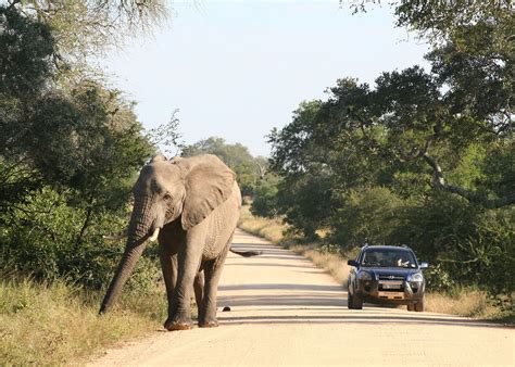 south africa  drive holidays audley travel uk