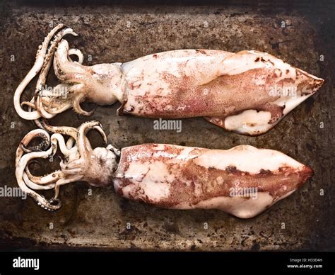 cooked whole squid Stock Photo - Alamy