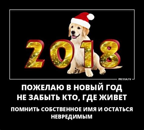 Новые смешные новогодние демотиваторы (46 фото)