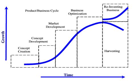 market maturity anhorn