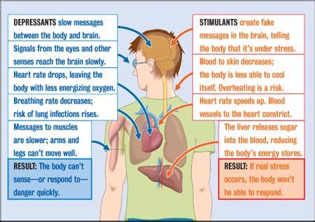 Understanding How Drug Dependence Develops & How it Affects the Body — Drug Detox