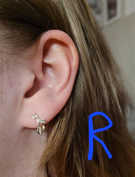 Set up advice? itching for more! : r/piercing