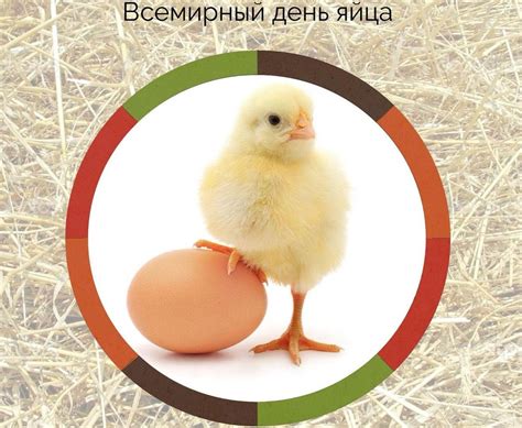 Открытки и картинки с Всемирным Днем Яйца 2021