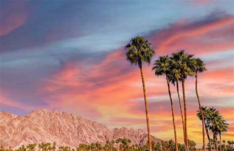The Ultimate 3 Day Weekend in Palm Springs Itinerary for First-Timers