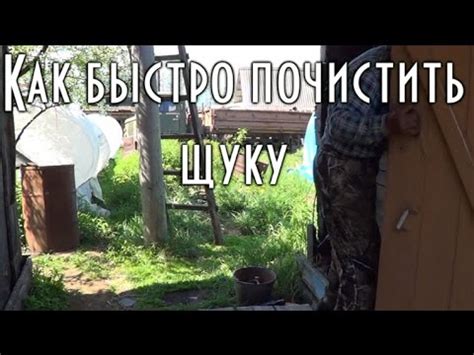 КАК ПРАВИЛЬНО И БЫСТРО ПОЧИСТИТЬ ЩУКУ НОЖОМ - YouTube