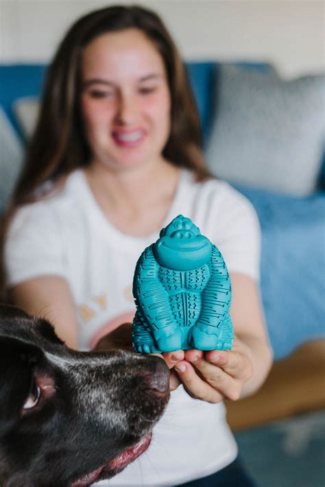 At Home Dog Dental Care: Dog Dental Chew Toys & Dog Dental Supplements
