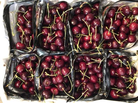 Cool & Refreshing Fresh Cherry Recipes - CITY GIRL FARMING ...