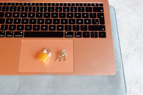 60+ Lapto Office Stock Photos, Pictures & Royalty-Free Images - iStock