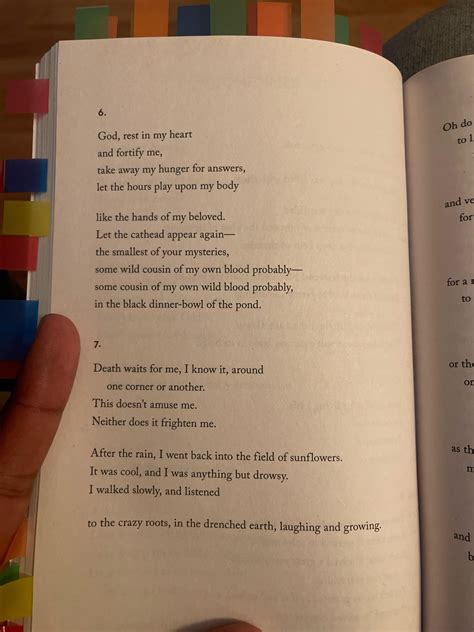 [POEM] “Sometimes” by Mary Oliver : r/Poetry