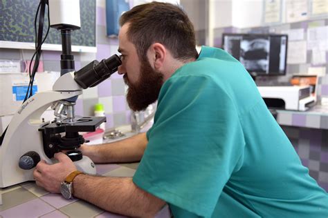 Photo 31 - Dr. Beinerta veterinārās klīnikas Rīgā un Salaspilī
