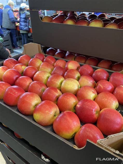 Fruitline Sp. z o.o — товары из Польши оптом - Поставщик, Груец