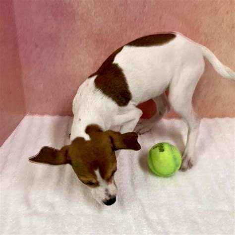 Reba Rawlings Obituary: Services and Life Tributes 4