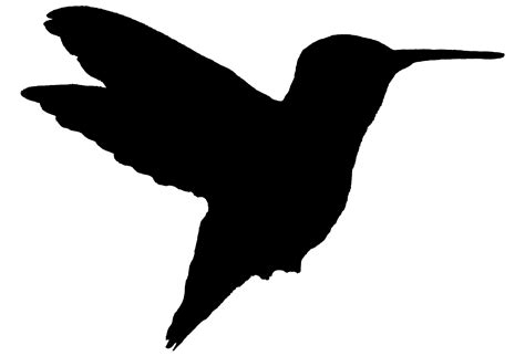 Hummingbird Silhouette Tattoo