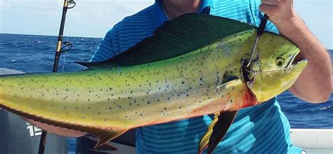 Pompano Beach Fishing Charters | Fishing Charters