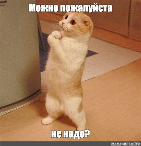 Meme: "Можно пожалуйста не надо?" - All Templates - Meme-arsenal.com