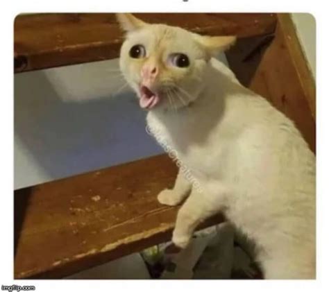 LOUD_VOICE Blank Template - Imgflip