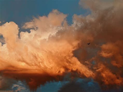 Фотографирую, пока фотографируется | Пикабу