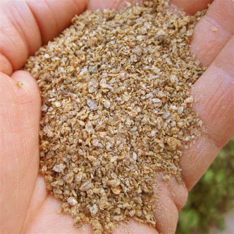Dafnia food - Dried dafnia - 1lt/180 gr - Acquista online su Vivaibambù ...