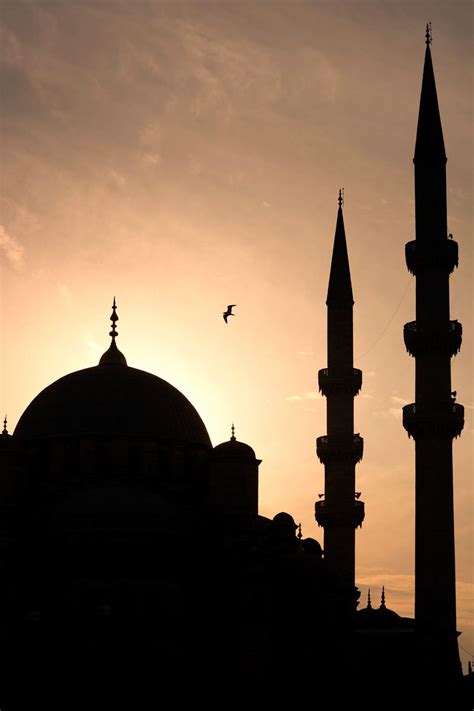 Istanbul in pictures – Artofit