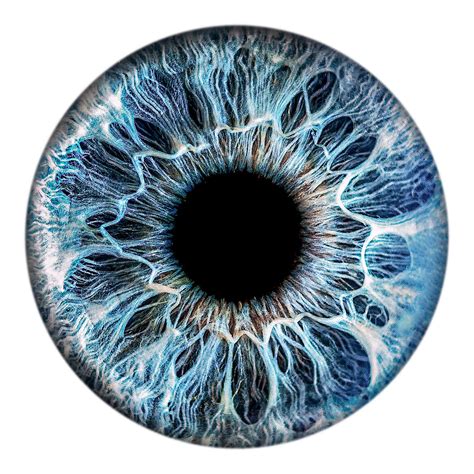 Download A Close Up Of A Blue Eye | Wallpapers.com